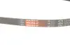 Ремінь генератора Great Wall C30/Florid/Haval/Voleex 1.5 08- Gates 4PK1210 (фото 5)