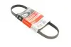 Ремінь генератора Ford Focus III 2.0 11- Gates 4PK705SF (фото 1)