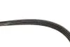 Ремень генератора Fiat Sedici/Honda Civic/Kia Pride/Opel Omega B 1.6-4.4 88-14 Gates 4PK803 (фото 4)