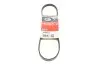 Ремінь генератора Nissan Almera/Primera/Sunny 1.0-5.0 82- Gates 4PK813 (фото 1)