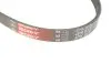 Ремінь генератора Nissan Almera/Primera/Sunny 1.0-5.0 82- Gates 4PK813 (фото 3)