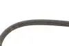 Ремінь генератора Nissan Almera/Primera/Sunny 1.0-5.0 82- Gates 4PK813 (фото 4)