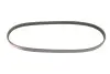 Ремінь генератора Nissan Almera/Primera/Sunny 1.0-5.0 82- Gates 4PK813 (фото 5)
