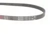 Ремень генератора Honda Civic VI/Nissan Primera 1.3-6.0 87- Gates 4PK845 (фото 2)