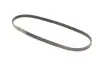Ремень генератора Ford Focus III/IV 2.0 ST/2.3 RS 12- (4PK890) Gates 4PK890SF (фото 2)