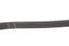 Ремінь генератора BMW 3 (E46)/7 (E65/E66/E67)/X3 (E83) 2.0/4.4D 01-10 M47/M67 Gates 4PK895SF (фото 3)