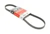 Ремінь генератора Peugeot Expert/Citroen Jumpy/Renault Kangoo 1.0-3.5 88- 4PK905