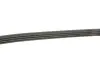 Ремінь генератора Renault Kangoo/Logan/Lada Largus 1.4/1.6 04- Gates 4PK916-890SF (фото 3)