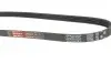Ремень генератора Fiat Ducato/Peugeot Boxer 2.2JTD/HDi 06- Gates 4PK922SF (фото 2)