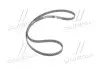 Ремень ГРМ ABARTH RITMO; FIAT 124 SPIDER, 131, 132, ARGENTA; LANCIA BETA, BETA H.P.E., BETA SPIDER, TREVI; SEAT 131 2.0 04.72-12.87 Gates 5022 (фото 4)