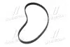 Ремень ГРМ Ford Escort/Fiesta 1.6D 83- (19x98z) Gates 5055XS (фото 2)