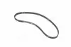 Ремень ГРМ Ford Mondeo/C-Max/Focus/Kuga/Transit Connect 1.5/1.6 EcoBoost 10- (22x117z) Gates 5669XS (фото 3)
