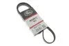 Ремень генератора Land Rover Range Rover Sport 5.0 09-13 Gates 5PK1173 (фото 2)