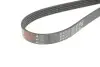 Ремень генератора Land Rover Range Rover Sport 5.0 09-13 Gates 5PK1173 (фото 3)