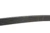 Ремень генератора Land Rover Range Rover Sport 5.0 09-13 Gates 5PK1173 (фото 4)