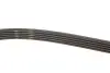Ремень генератора Peugeot Partner 1.4-1.6 16V 96-15/ Toyota Avensis/ Corolla2.0 D-4D 03-09 Gates 5PK1255 (фото 3)
