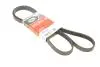 Ремінь генератора Suzuki SX4 2.0 06- Gates 5PK1665 (фото 3)