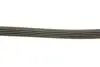Ремінь генератора Suzuki SX4 2.0 06- Gates 5PK1665 (фото 4)