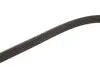 Ремінь генератора Hyundai Accent/Kia Rio 1.5 CRDi 05- Gates 5PK1800 (фото 4)
