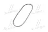 Ремінь генератора VW Golf II/VW Passat 1.6/1.8/2.0 88-93 Gates 6391MC (фото 2)