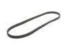 Ремень генератора VW T5 1.9TDI/VW Caddy III 1.9/2.0TDI (+AC) Gates 6DPK1195 (фото 2)