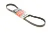 Ремінь генератора Ford C-Max II/Focus III/Fiesta VI/Mondeo IV 1.2-1.6LPG 07- Gates 6PK1030SF (фото 1)