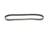 Ремінь генератора Ford C-Max II/Focus III/Fiesta VI/Mondeo IV 1.2-1.6LPG 07- Gates 6PK1030SF (фото 2)