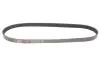 Ремінь генератора VW Caddy 1.9D/SDI -03 (WP,TP) Gates 6PK1038 (фото 1)