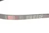 Ремінь генератора VW Caddy 1.9D/SDI -03 (WP,TP) Gates 6PK1038 (фото 4)
