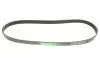Ремінь генератора Renault Magnum 12.0 00- Gates 6PK1050HD (фото 4)