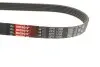 Ремінь генератора Citroen Jumper/Peugeot Boxer 2.0 94-/VW Caddy 1.4 04- Gates 6PK1098 (фото 2)