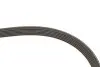 Ремінь генератора Citroen Jumper/Peugeot Boxer 2.0 94-/VW Caddy 1.4 04- Gates 6PK1098 (фото 3)