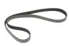 Ремень генератора MB Sprinter (W906/W907/W910) ​​2.2 CDI (OM651) 06- (6PK1124) Gates 6PK1124SF (фото 4)