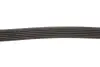 Ремінь генератора Citroen Jumper 1.9TD 94-02 (ALT,PS) Gates 6PK1130 (фото 3)