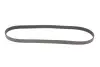Ремінь генератора Citroen Jumper 1.9TD 94-02 (ALT,PS) Gates 6PK1130 (фото 4)