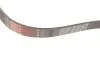 Ремень генератора Citroen Jumper/Peugeot Boxer 3.0HDI 03- Gates 6PK1163 (фото 2)