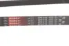 Ремень генератора Citroen Jumper/Fiat Ducato 2.0/2.2HDi/JTD 02- Gates 6PK1173 (фото 4)