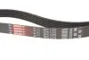 Ремінь генератора Ford Galaxy II/Mondeo IV 2.0 TDCi 06-15 Gates 6PK1245 (фото 2)