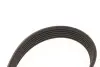 Ремінь генератора Ford Galaxy II/Mondeo IV 2.0 TDCi 06-15 Gates 6PK1245 (фото 3)