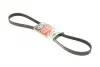 Ремінь генератора Ford Focus II/C-Max/Volvo C30/S40 II/V50 1.8/2.0 04-12 Gates 6PK1249SF (фото 1)