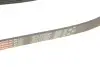 Ремінь генератора Ford Focus II/C-Max/Volvo C30/S40 II/V50 1.8/2.0 04-12 Gates 6PK1249SF (фото 4)