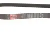 Ремінь генератора Peugeot Bipper 1.4HDI Gates 6PK1353 (фото 4)