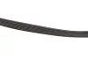 Ремінь генератора Berlingo/Partner 1.6HDI (-AC) ch.10571> Gates 6PK1368 (фото 3)