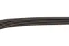 Ремень генератора Mitsubishi ASX/Lancer 1.8 DI-D 10- Gates 6PK1488 (фото 3)