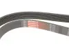 Ремень генератора Fiat Doblo/Opel Combo 1.3D 10- Gates 6PK1525 (фото 4)