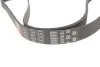 Ремінь генератора Golf IV/BMW/Ford/Opel Gates 6PK1540 (фото 2)