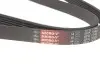 Ремінь генератора Golf IV/BMW/Ford/Opel Gates 6PK1540 (фото 3)