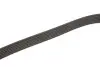 Ремінь генератора Golf IV/BMW/Ford/Opel Gates 6PK1540 (фото 4)