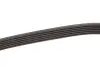 Ремень генератора BMW 5 (E60)/7 (E65/E66/E67)/X5 (E53) 4.4/4.8 01-09 N62 Gates 6PK1548 (фото 3)