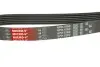 Ремінь генератора Citroen Berlingo 1.6 00-08/ Nemo 1.4i 08- Gates 6PK1560 (фото 3)